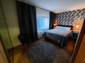 Centrum Bridge Apartment